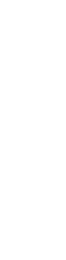 「心」の鉄板 今生焼